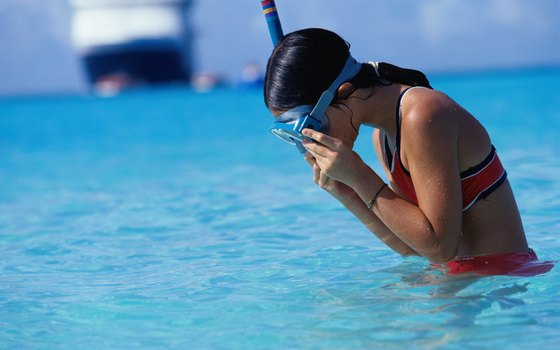 Florida offers snorkeling opportunities for both children and adults.