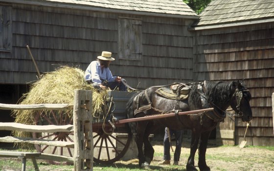 Amish farms populate the countryside in Holmes County.