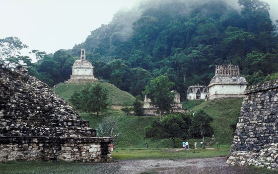 Only a small portion of the pyramid city of Palenque has been excavated.