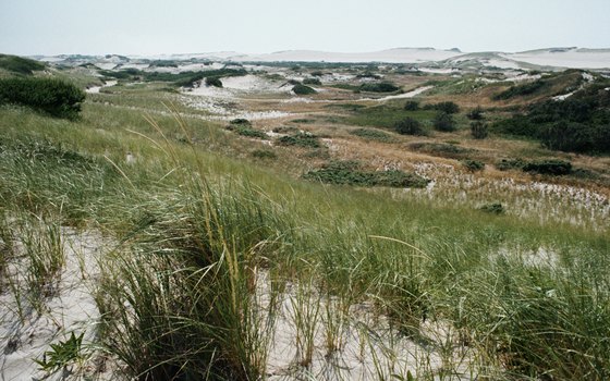 Cape Cod is a popular beach destination, though the region's historic monuments and arts scene also draws visitors.