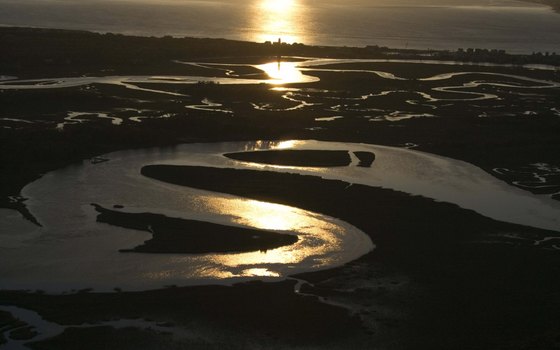 Tourism in the Coastal Plains of North Carolina | USA Today