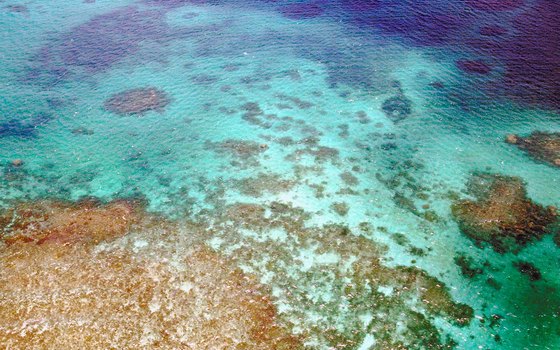 The Great Barrier Reef off Queensland is the world's largest reef network.