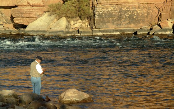 Fish from shore or book an angling tour on Lake Powell.