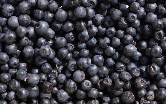 South Haven's Blueberry Festival celebrates the berry with family-oriented activities.