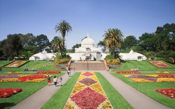 Golden Gate Park houses a Conservatory of Flowers that older children might enjoy.