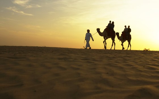 Camel Riding in the Desert at Sunset.