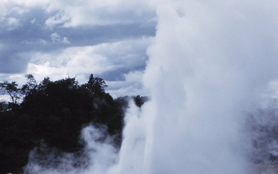 Geyser in Rotorua