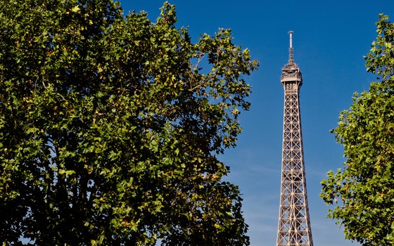 Paris has plenty of sightseeing opportunities to keep solo travelers busy.