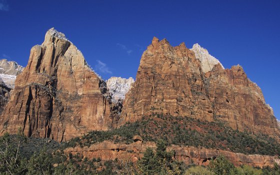 Horseback Tours in Zion National Park, Utah, will view the Court of Patriarchs.