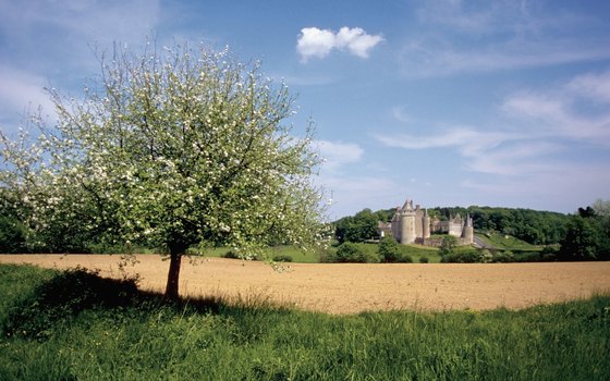 Loire's castles dot the valley's classical landscape.