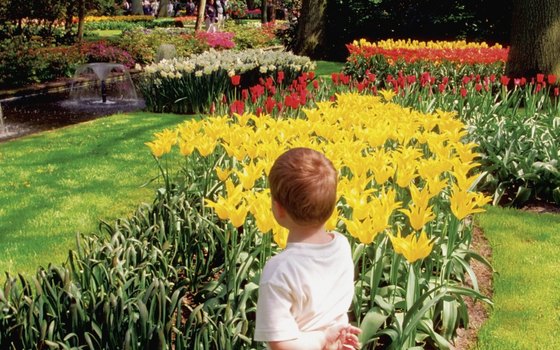 The Keukenhof Gardens is open annually from late March to late May.