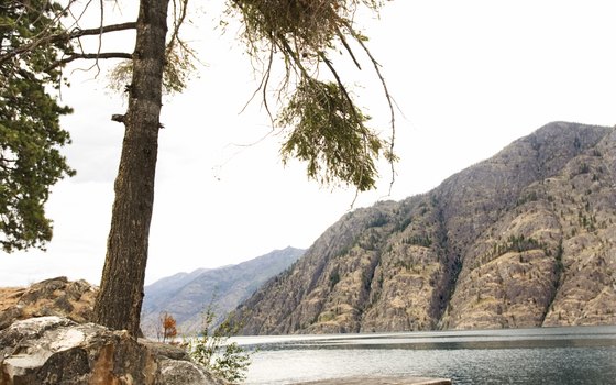Lake Chelan spans 50.5 miles in northern Washington.