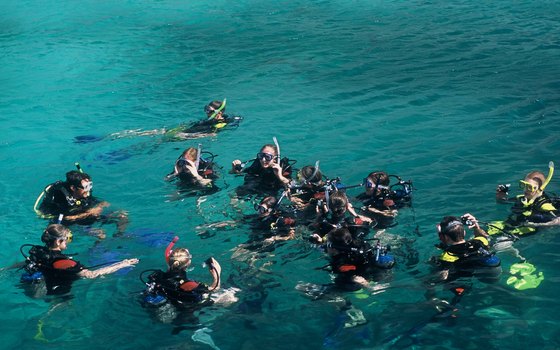Many snorkeling tours offer snorkeling classes.