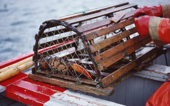 For a different kind of fishing, have Captain Chuck take you to where the lobsters are.