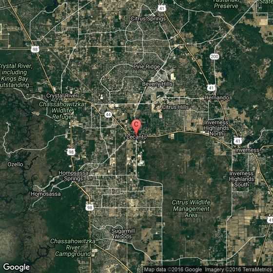 Pet Friendly Hotels Near Lecanto Florida Usa Today Pet Friendly Hotels Near Lecanto Florida