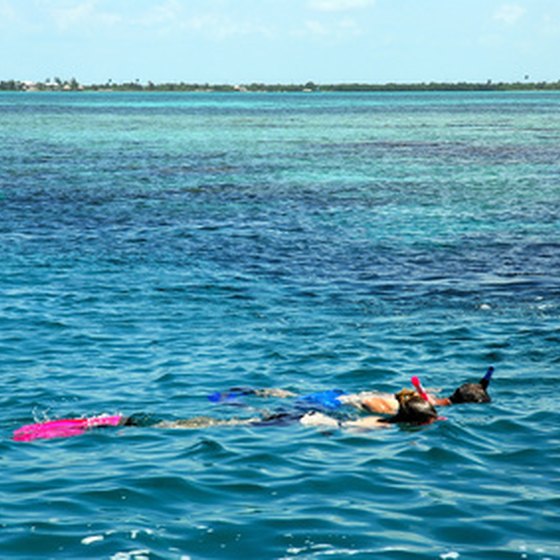 Snorkeling is one of the many water sports you can enjoy in Key Largo.