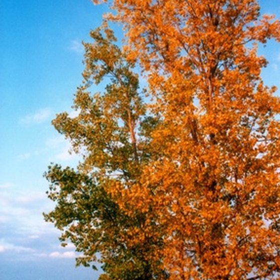 Lake Erie during autumn