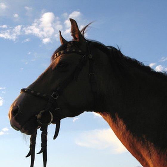 A horseback excursion into the terrain near Driggs, Idaho, reveals stunning views.