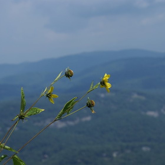 Asheville lies in the scenic Blue Ridge Mountains of North Carolina.