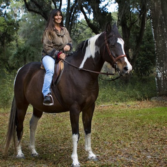 There are many options for horseback riding in the Florida panhandle.