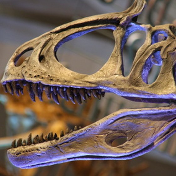 Dinosaur fossils are showcased at Agate Fossil Beds National Monument.