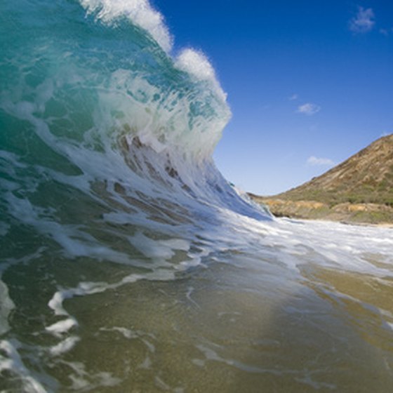 Hawaii features a vibrant surf culture.