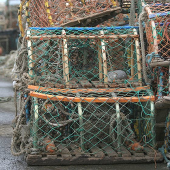 Learn to use a crab pot on the Bering Sea Crab Fishermen's Tour.