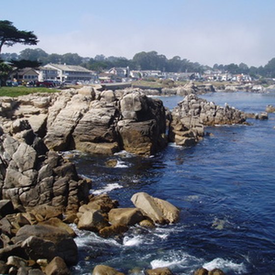 The rocky shoreline of Pacific Grove is a common site for travelers around Monterey, California.