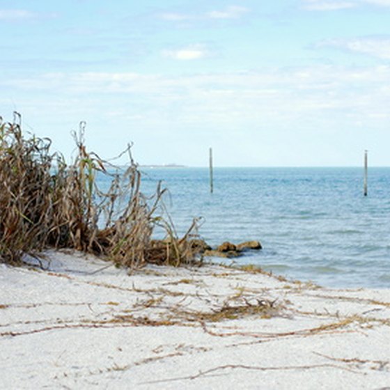 Sarasota offers a world-class beach experience.