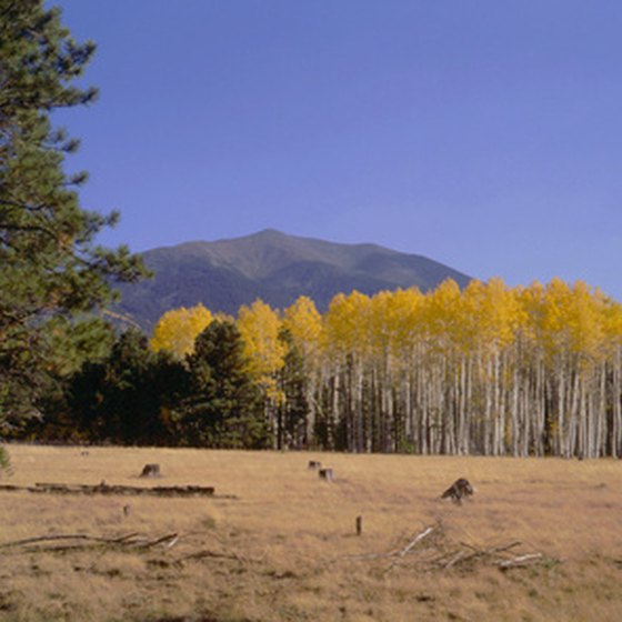 Flagstaff offers visitors a variety of outdoor activities.