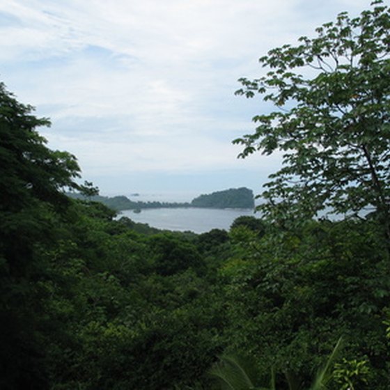 Lush forests provide the perfect scenery for kayaking in Costa Rica.