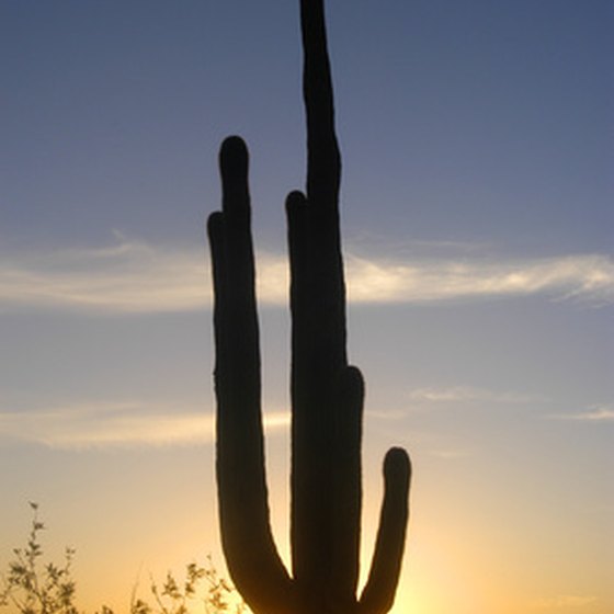 Saguaro National Park in southern Arizona offers a variety of hiking trails.