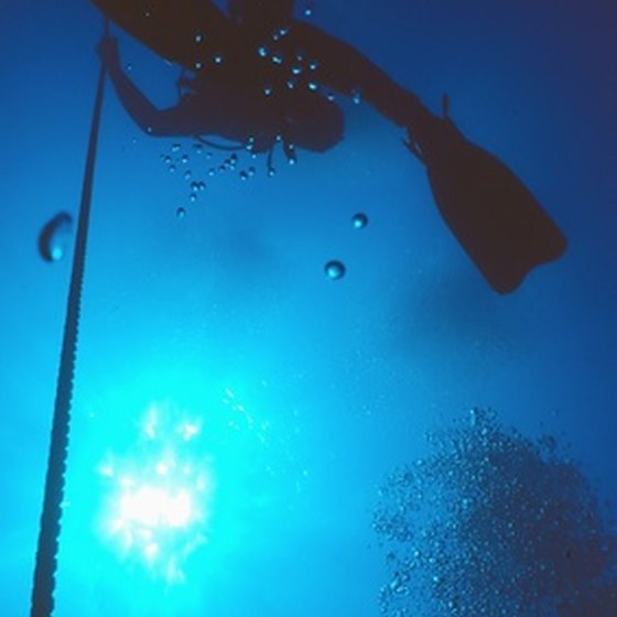 Scuba diver floating above