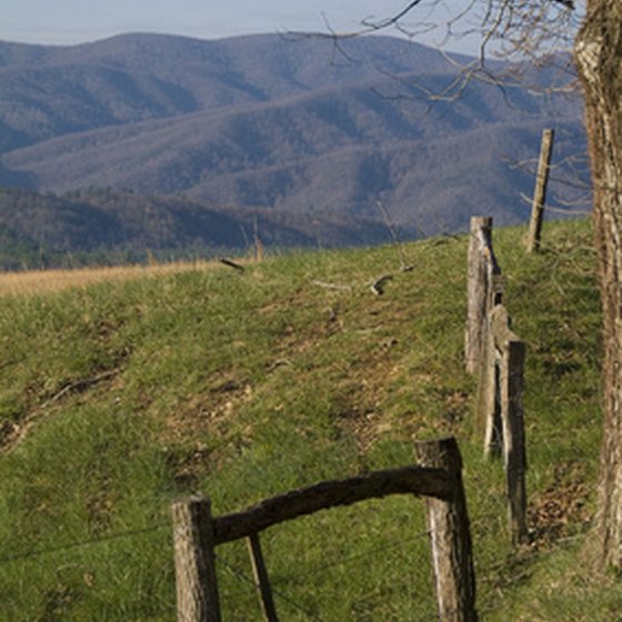 The Gatlinburg area, surrounded by the Smokies, has hundreds of cabin rentals.