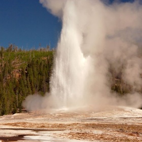 Old Faithful, Yellowstone's biggest attraction