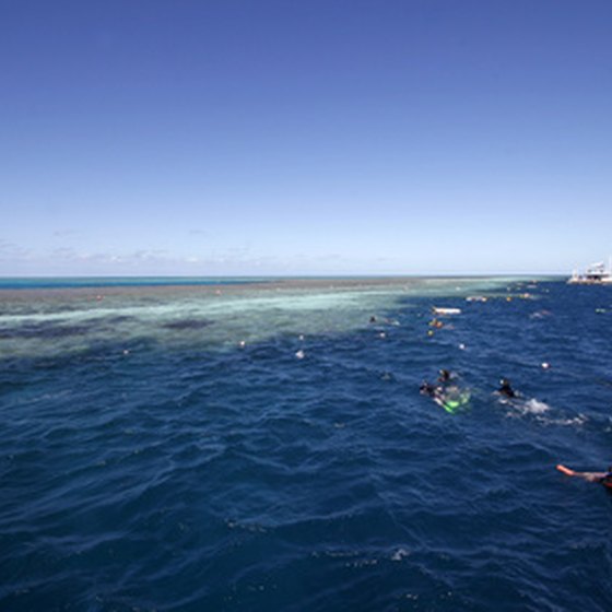 Swimming near the Great Barrier Reef makes you forget all about the cold and snow back home.