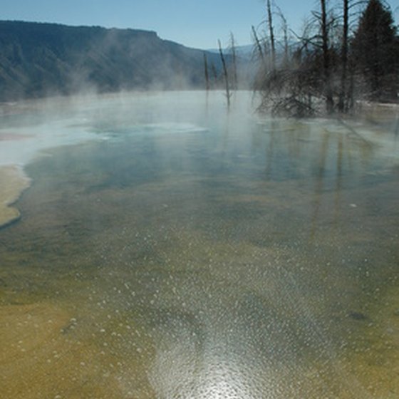 Visitors to Yellowstone can rent vacation cabins at seven different areas in the park.