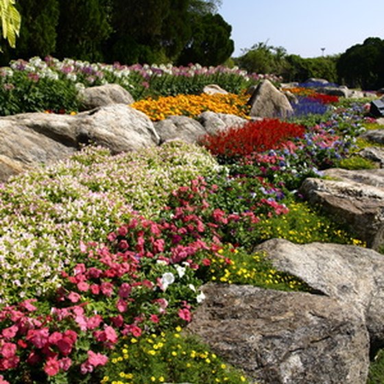 Whimsical gardens are just one of the family friendly features of Greenville.