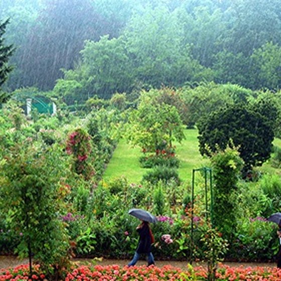 Monet's gardens in Giverny are open for tours.