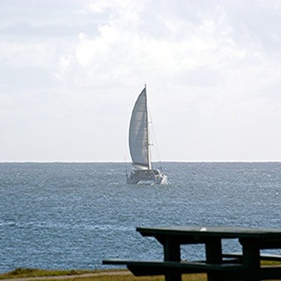 A catamaran with its sail up