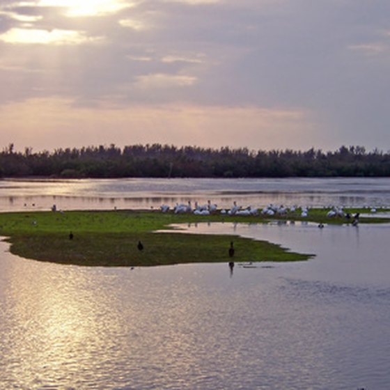 Sanibel Island is on the Gulf Coast of Florida.