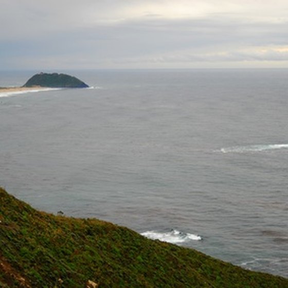 Visit the town of Brookings, Oregon, which rests on the Pacific Coast.