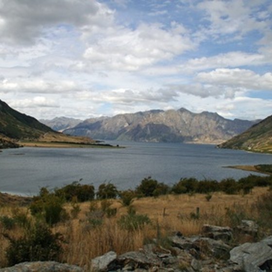 Several companies offer backpacking tours of scenic New Zealand.