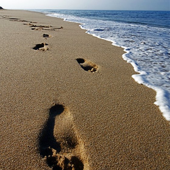 The beaches of Cape Cod provide one of the state's most popular family vacation destinations.