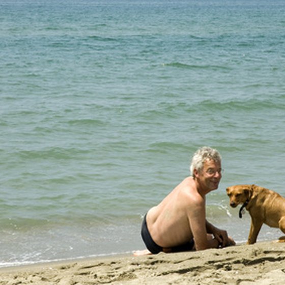 Santa Cruz can be a great vacation destination for pets and their owners.