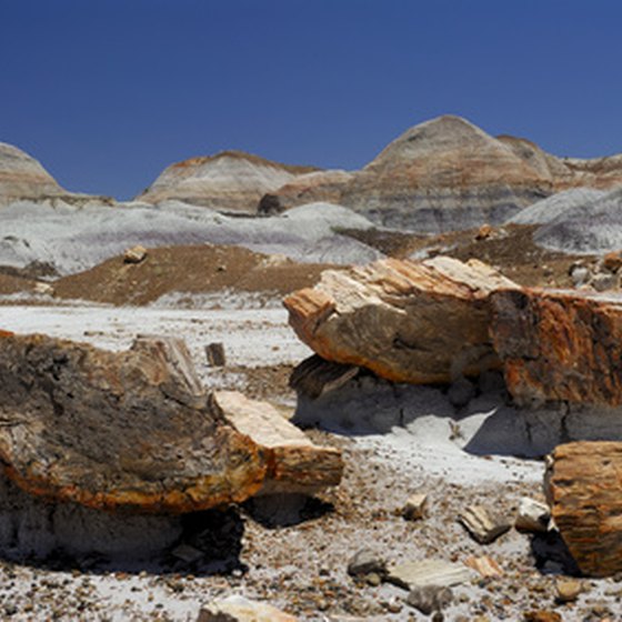 Holbrook is 28 miles from the Petrified Forest National Park.