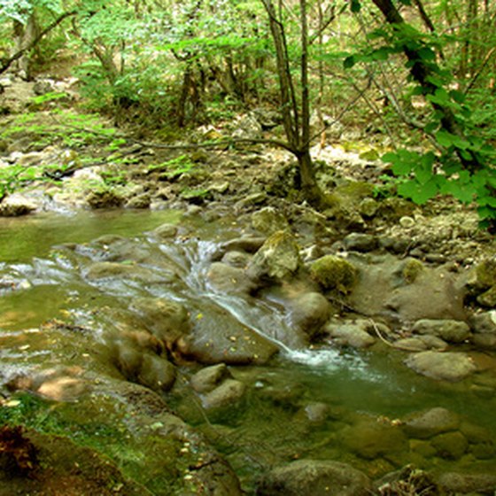 The state parks in northeast Georgia feature many streams, forests and other scenic beauty.