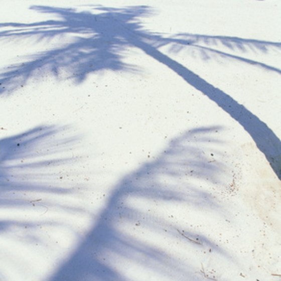 Anna Maria Island has gorgeous white sand beaches and palm trees.