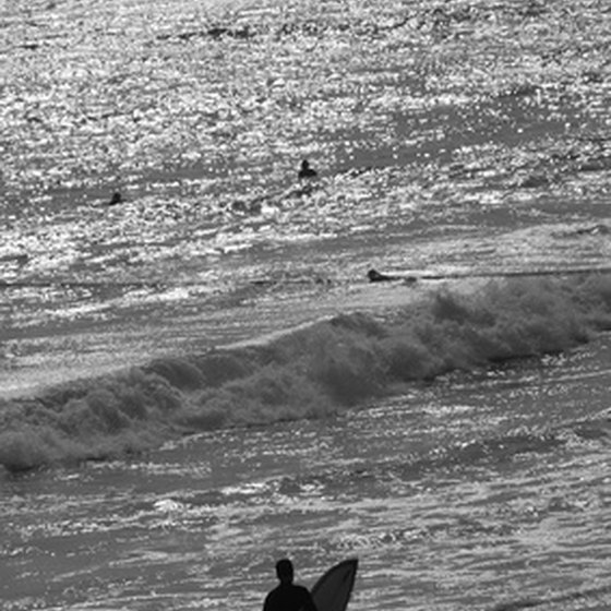 Surf Santa Monica
