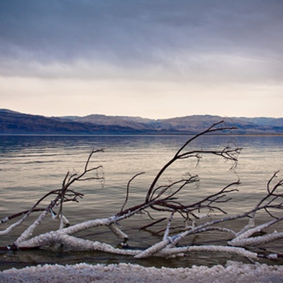 The Dead Sea